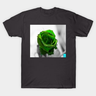 green rose T-Shirt